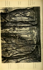n565_w1150