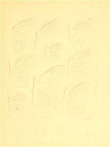 n90_w1150