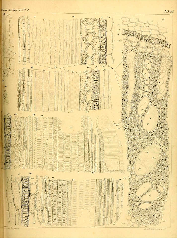 n520_w1150