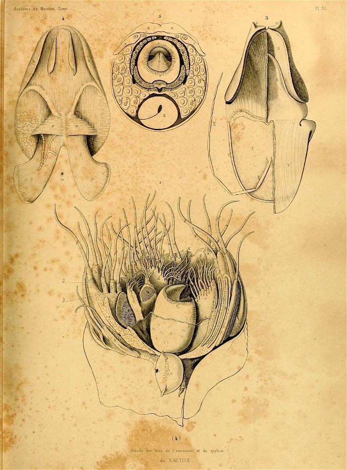 n622_w1150