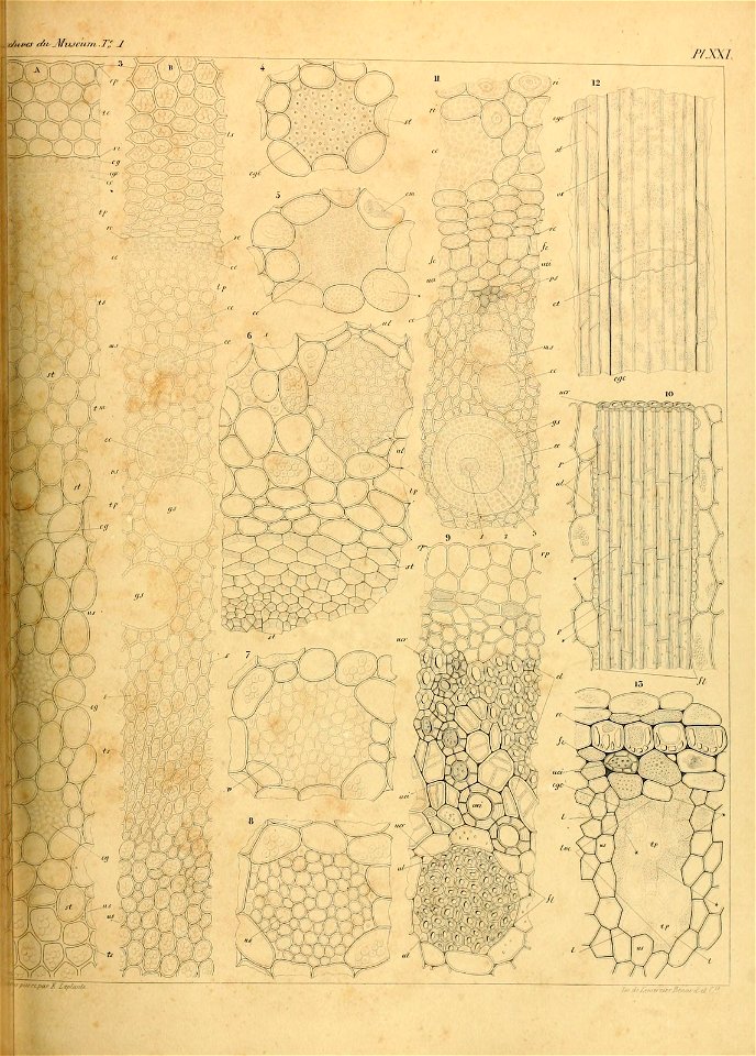 n518_w1150