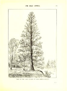 n196_w1150