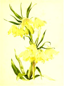 n158_w1150