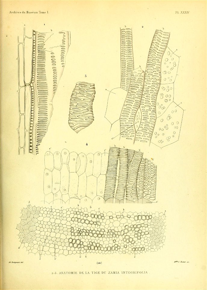 n544_w1150