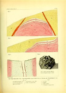 n514_w1150