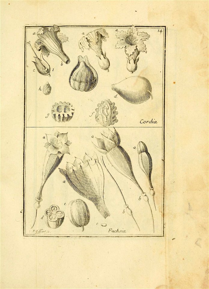 n122_w1150