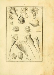 n122_w1150