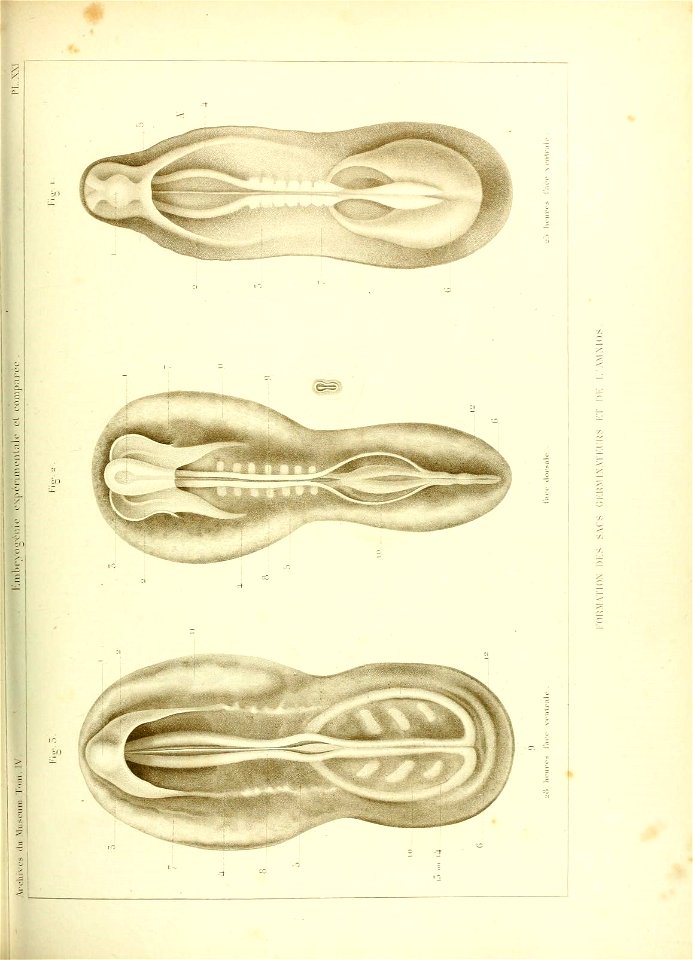 n472_w1150