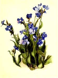 n112_w1150