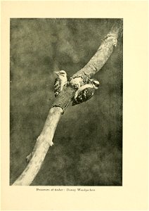 n192_w1150
