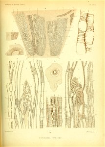 n534_w1150