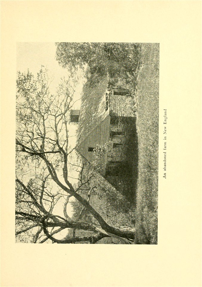 n178_w1150