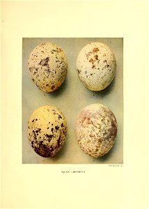 n280_w1150