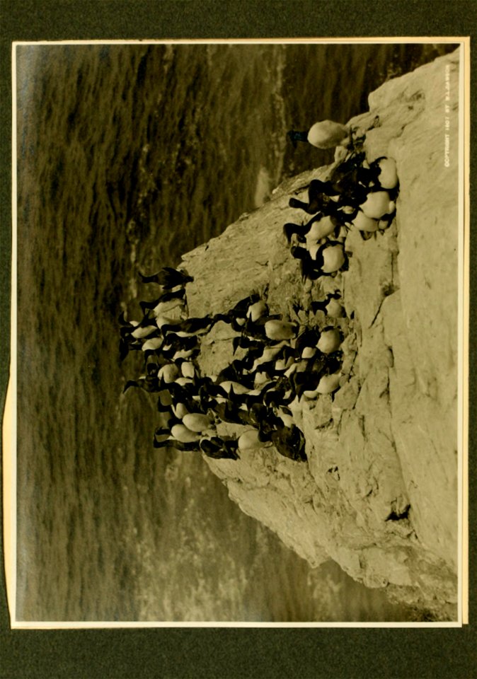 n13_w1150