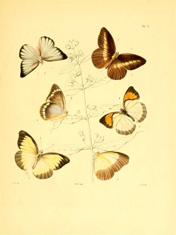 n98_w1150