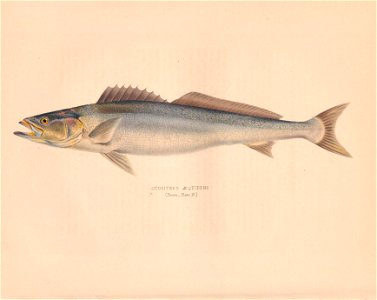 n59_w1150