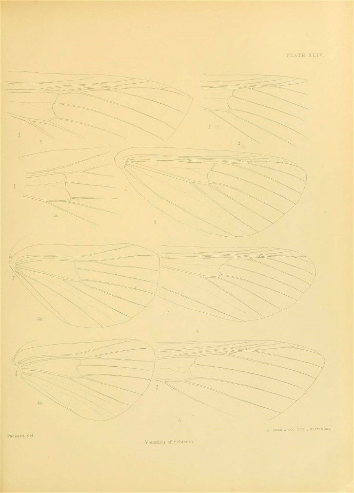 n472_w1150