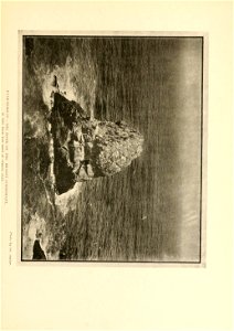 n426_w1150
