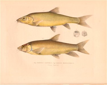 n41_w1150