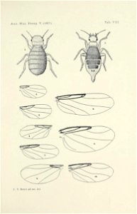 n614_w1150