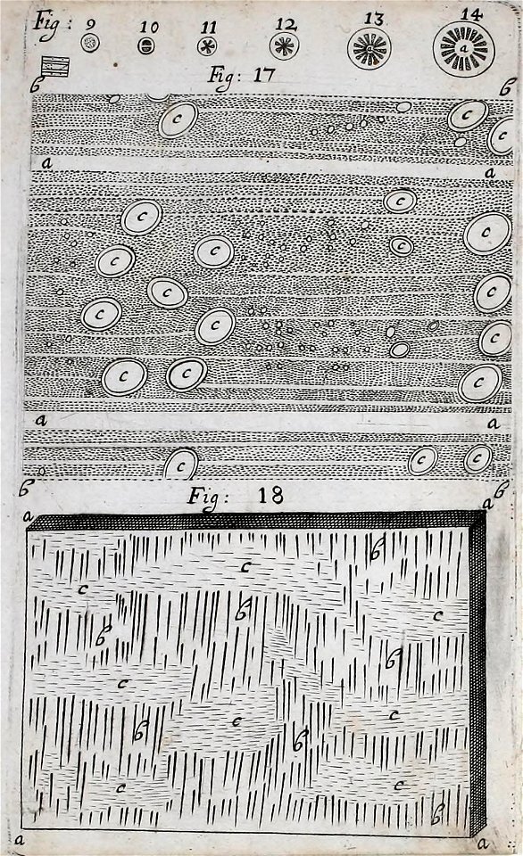 n254_w1150