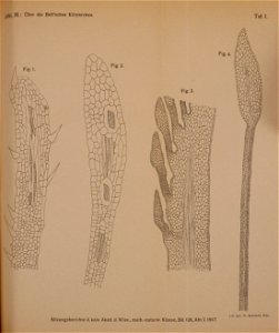 n1014_w1150