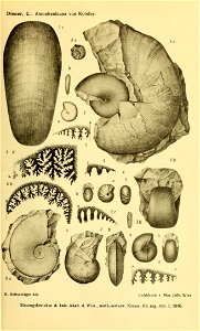 n522_w1150