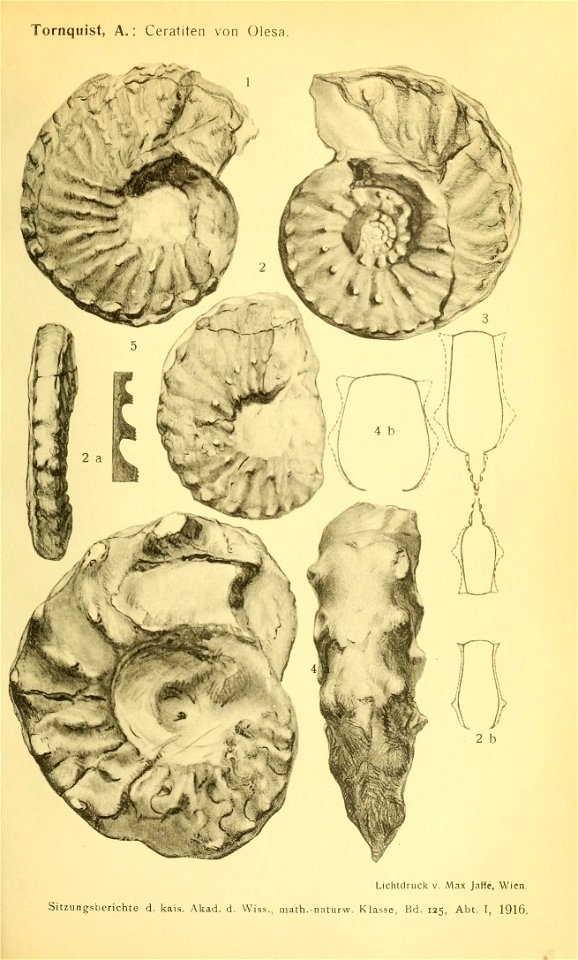 n274_w1150