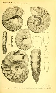 n274_w1150