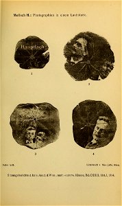 n1038_w1150