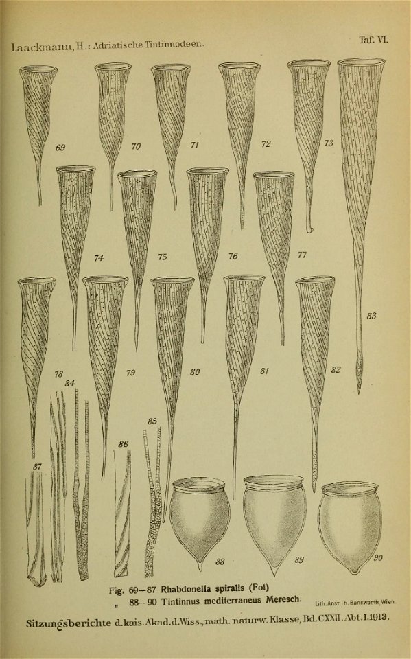 n204_w1150