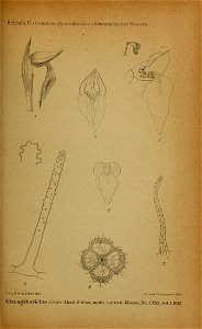 n1120_w1150