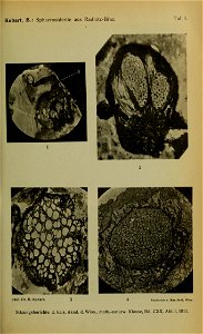 n1164_w1150