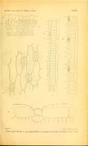 n590_w1150