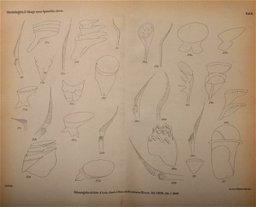 n1624_w1150
