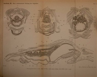 n296_w1150