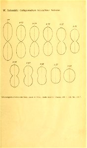 n578_w1150