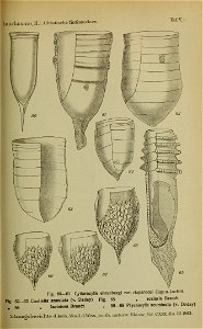 n202_w1150