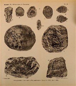 n1098_w1150