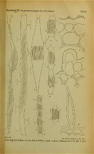 n1110_w1150