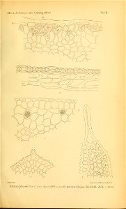 n588_w1150