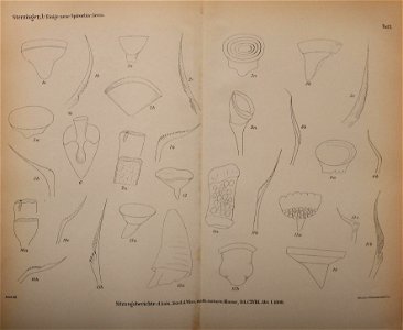 n1618_w1150