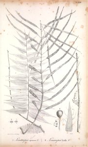 n206_w1150