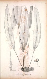 n146_w1150