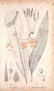 n144_w1150