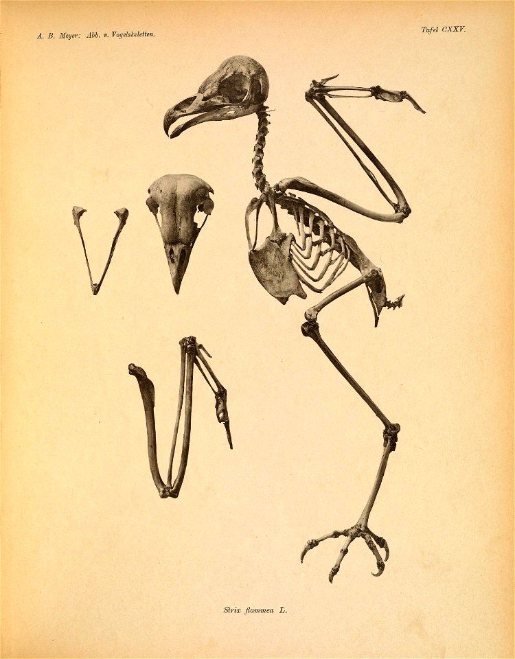 n156_w1150