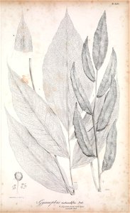 n232_w1150