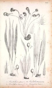 n172_w1150