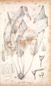 n142_w1150