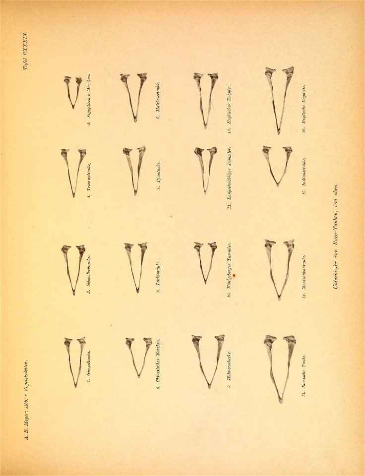 n184_w1150